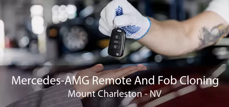 Mercedes-AMG Remote And Fob Cloning Mount Charleston - NV