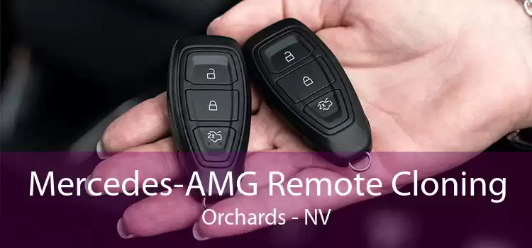Mercedes-AMG Remote Cloning Orchards - NV