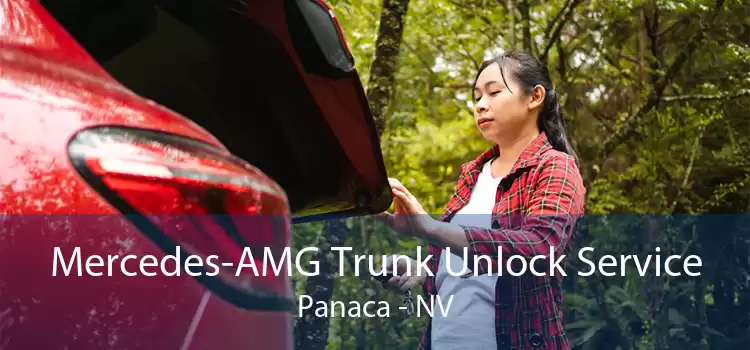 Mercedes-AMG Trunk Unlock Service Panaca - NV
