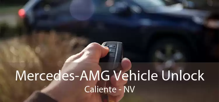 Mercedes-AMG Vehicle Unlock Caliente - NV