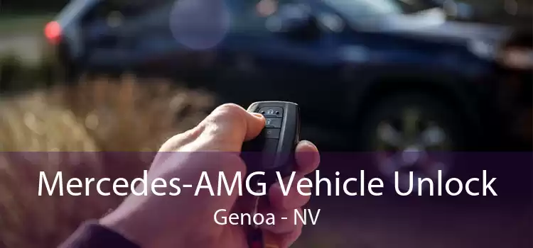 Mercedes-AMG Vehicle Unlock Genoa - NV