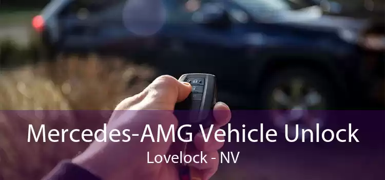 Mercedes-AMG Vehicle Unlock Lovelock - NV