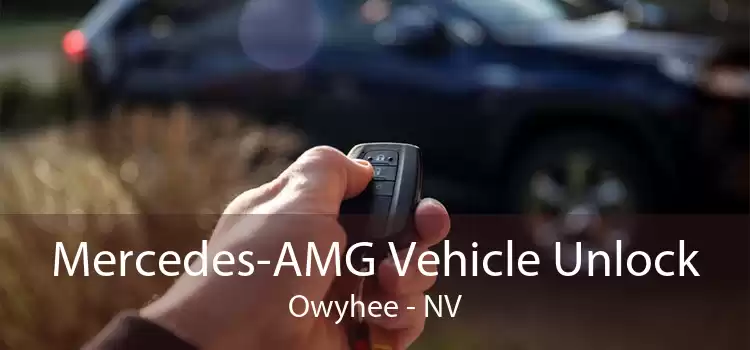 Mercedes-AMG Vehicle Unlock Owyhee - NV