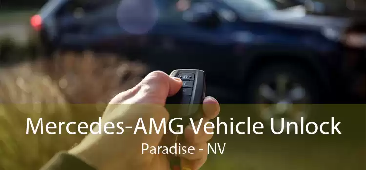 Mercedes-AMG Vehicle Unlock Paradise - NV