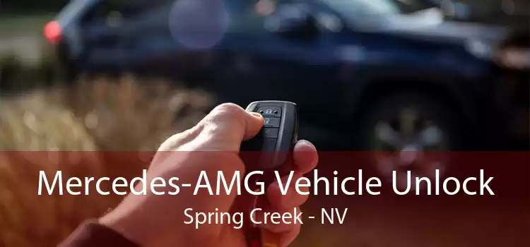 Mercedes-AMG Vehicle Unlock Spring Creek - NV
