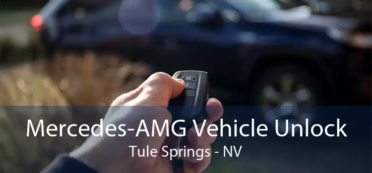 Mercedes-AMG Vehicle Unlock Tule Springs - NV