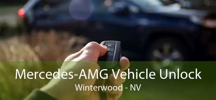 Mercedes-AMG Vehicle Unlock Winterwood - NV