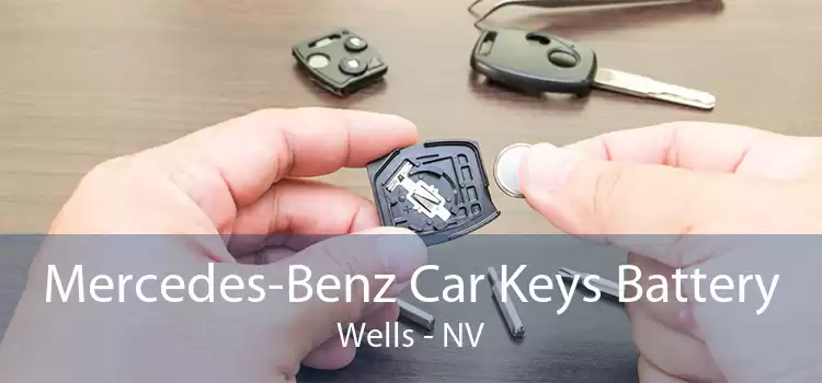 Mercedes-Benz Car Keys Battery Wells - NV