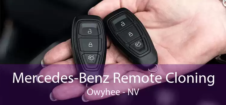 Mercedes-Benz Remote Cloning Owyhee - NV