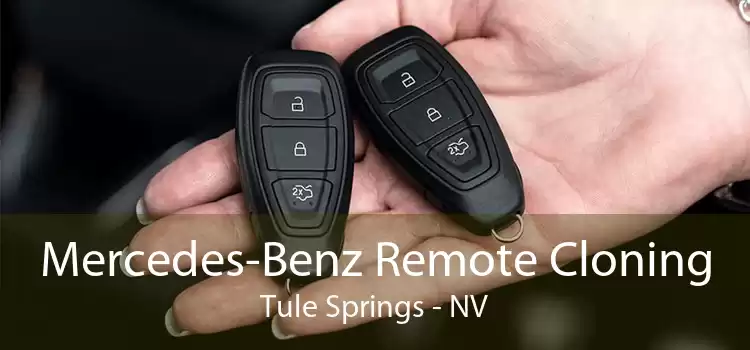 Mercedes-Benz Remote Cloning Tule Springs - NV
