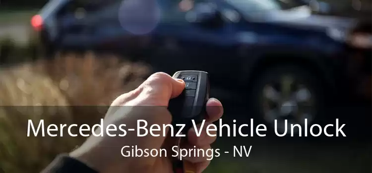 Mercedes-Benz Vehicle Unlock Gibson Springs - NV