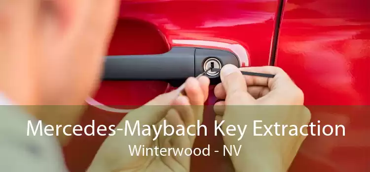Mercedes-Maybach Key Extraction Winterwood - NV