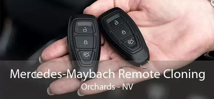 Mercedes-Maybach Remote Cloning Orchards - NV