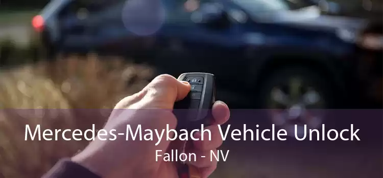 Mercedes-Maybach Vehicle Unlock Fallon - NV