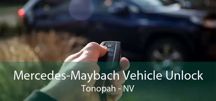 Mercedes-Maybach Vehicle Unlock Tonopah - NV
