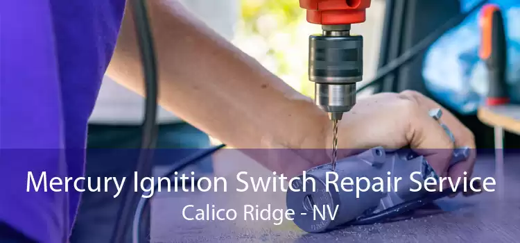 Mercury Ignition Switch Repair Service Calico Ridge - NV