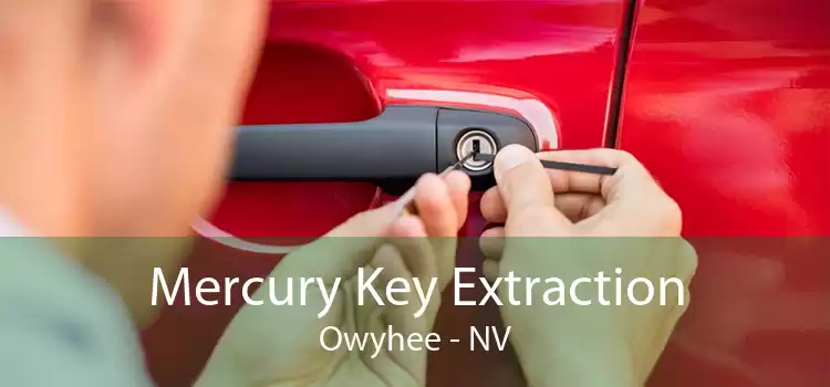 Mercury Key Extraction Owyhee - NV