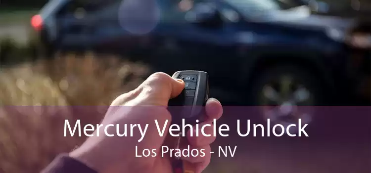 Mercury Vehicle Unlock Los Prados - NV
