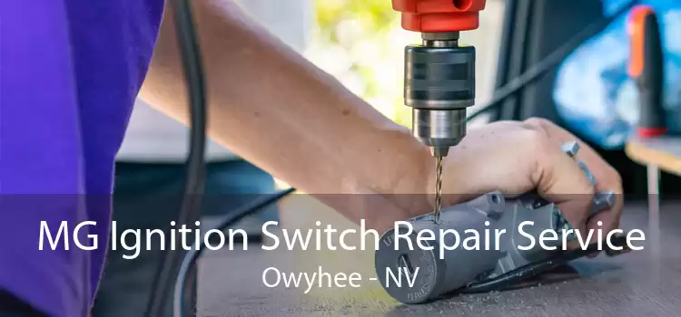 MG Ignition Switch Repair Service Owyhee - NV