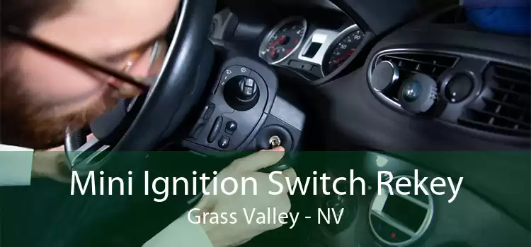 Mini Ignition Switch Rekey Grass Valley - NV