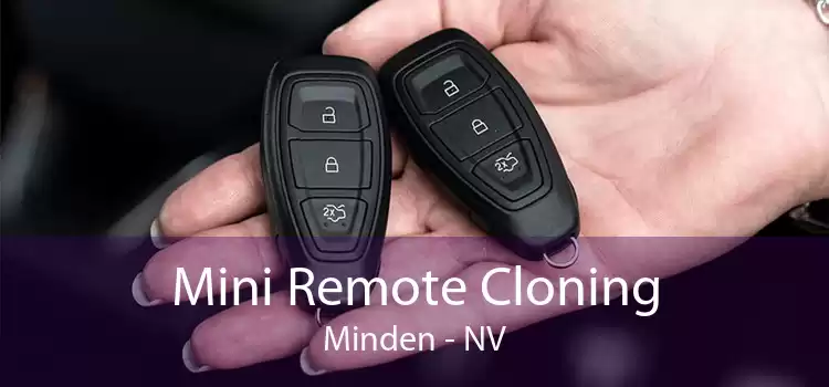 Mini Remote Cloning Minden - NV