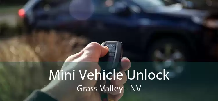 Mini Vehicle Unlock Grass Valley - NV