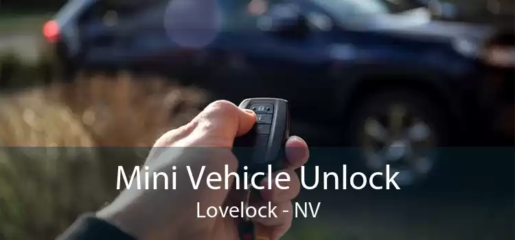 Mini Vehicle Unlock Lovelock - NV