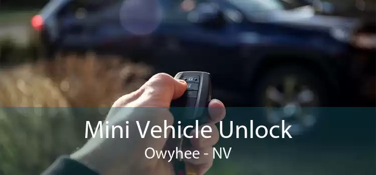 Mini Vehicle Unlock Owyhee - NV