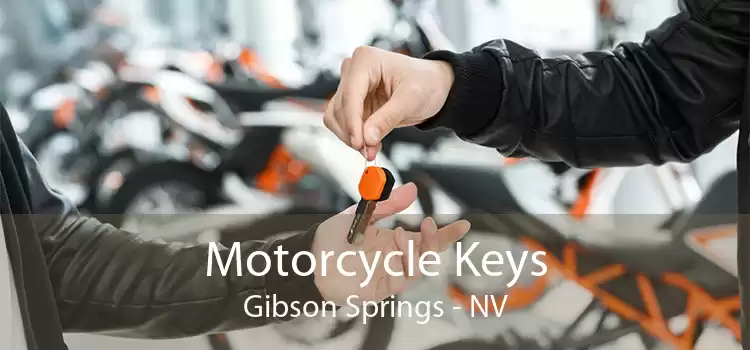 Motorcycle Keys Gibson Springs - NV