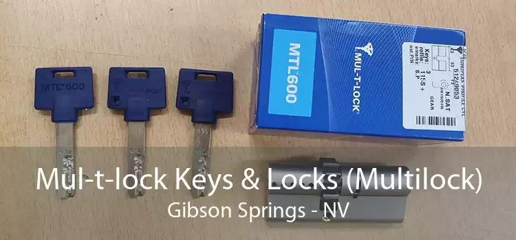 Mul-t-lock Keys & Locks (Multilock) Gibson Springs - NV