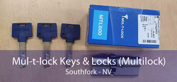 Mul-t-lock Keys & Locks (Multilock) Southfork - NV