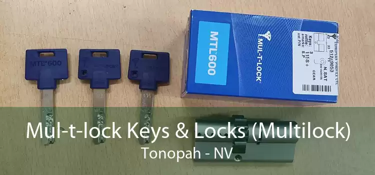 Mul-t-lock Keys & Locks (Multilock) Tonopah - NV