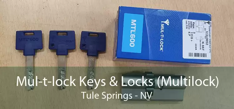 Mul-t-lock Keys & Locks (Multilock) Tule Springs - NV