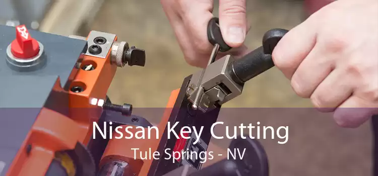 Nissan Key Cutting Tule Springs - NV