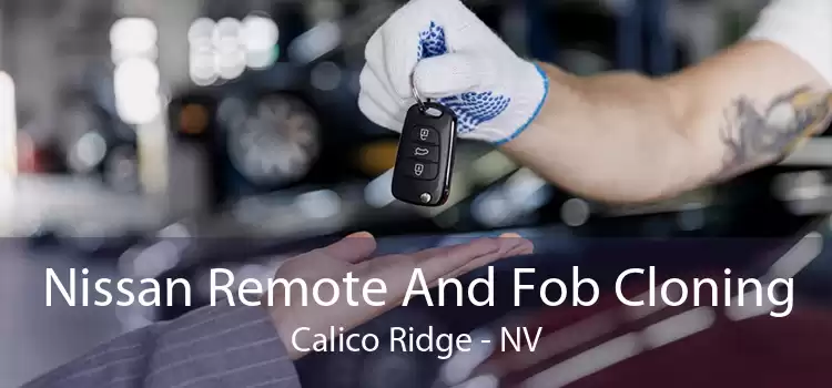 Nissan Remote And Fob Cloning Calico Ridge - NV
