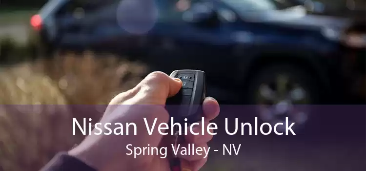 Nissan Vehicle Unlock Spring Valley - NV