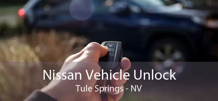 Nissan Vehicle Unlock Tule Springs - NV