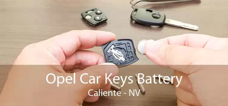 Opel Car Keys Battery Caliente - NV
