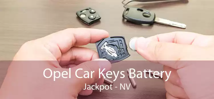 Opel Car Keys Battery Jackpot - NV