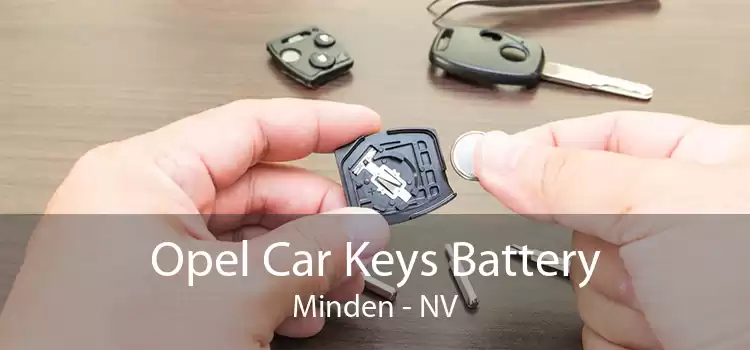 Opel Car Keys Battery Minden - NV