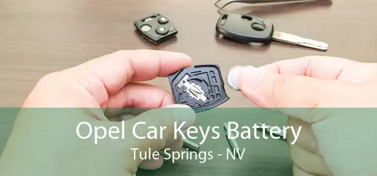 Opel Car Keys Battery Tule Springs - NV