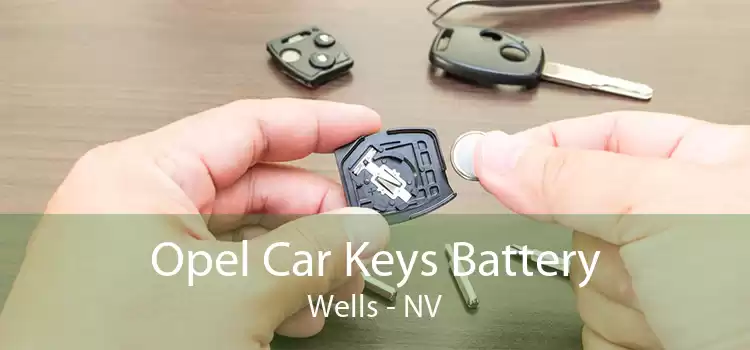 Opel Car Keys Battery Wells - NV