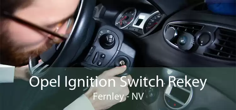 Opel Ignition Switch Rekey Fernley - NV