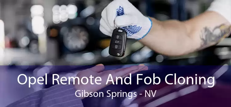 Opel Remote And Fob Cloning Gibson Springs - NV