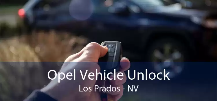 Opel Vehicle Unlock Los Prados - NV