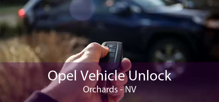 Opel Vehicle Unlock Orchards - NV