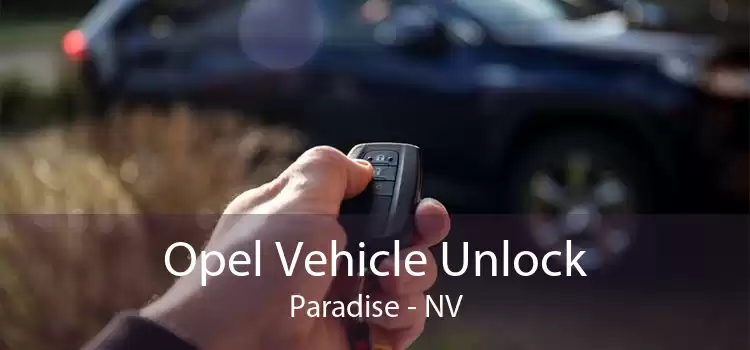 Opel Vehicle Unlock Paradise - NV