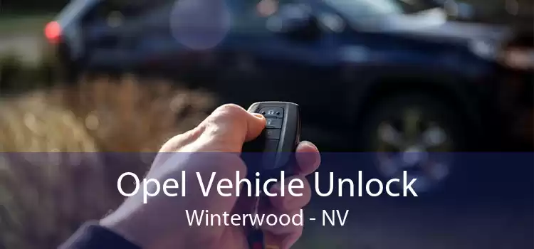 Opel Vehicle Unlock Winterwood - NV