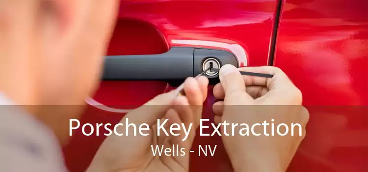 Porsche Key Extraction Wells - NV