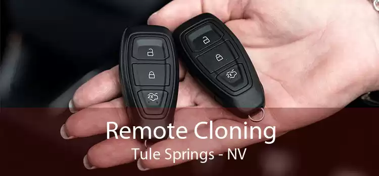 Remote Cloning Tule Springs - NV